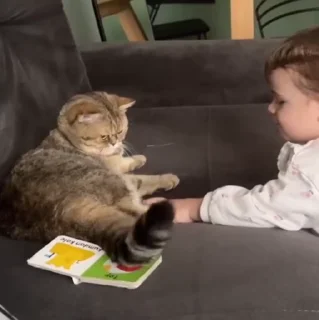 🐱