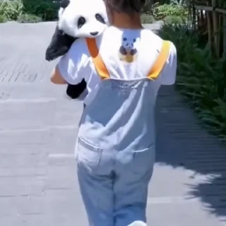 🐼