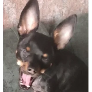 🫨