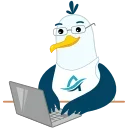 👨‍💻