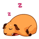 😴