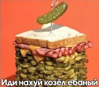 🥪