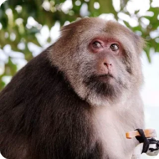 😐