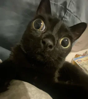 😐