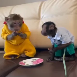 😡