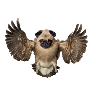 Strange Animals @stickersb2b