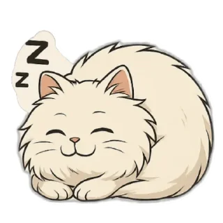 😽