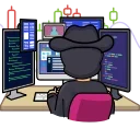 🖥