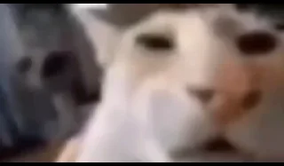 🧐
