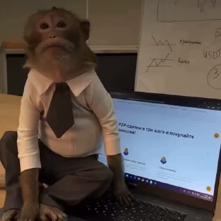 😮