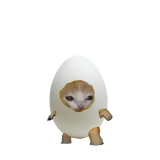 🥚
