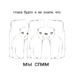 👀