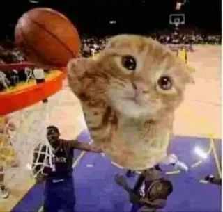 ⛹‍♂