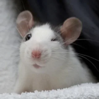 😉