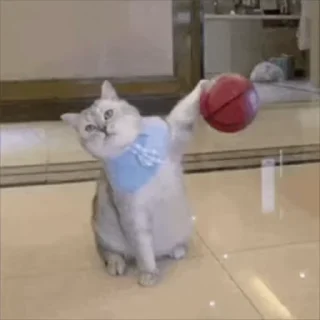 💪