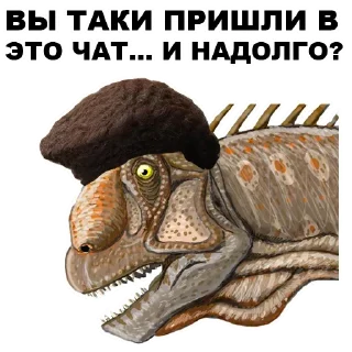 🤚