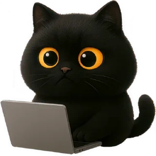 💻