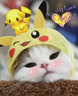💛