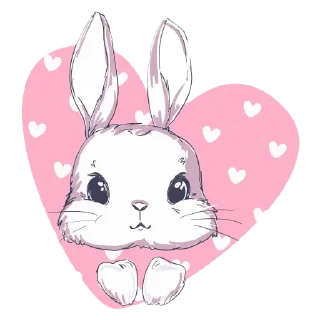 🐰