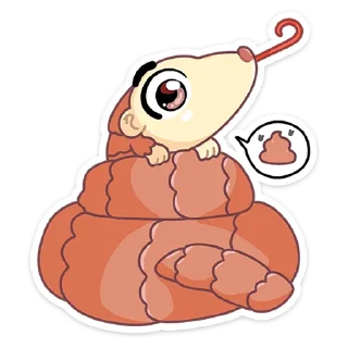 💩
