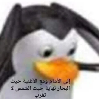 😱