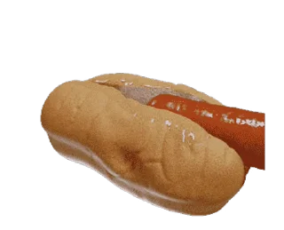 🌭