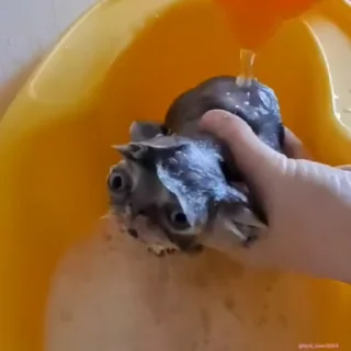 😳