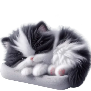 😴