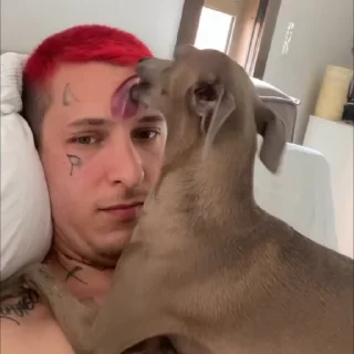 👅