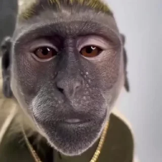 😍