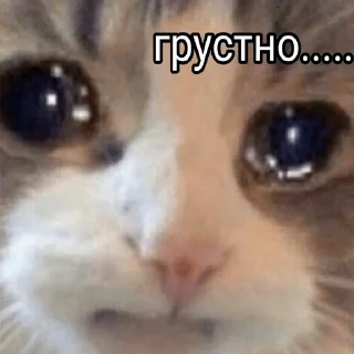 😞