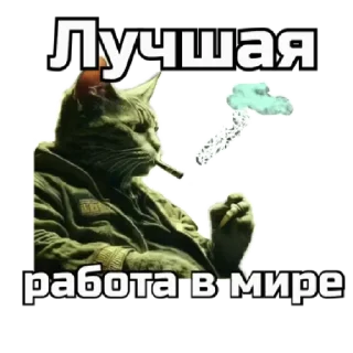 🫡
