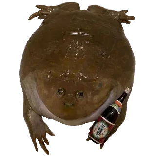🐸