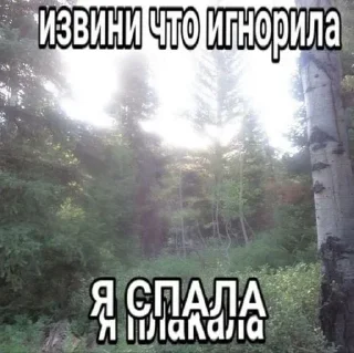 🧂
