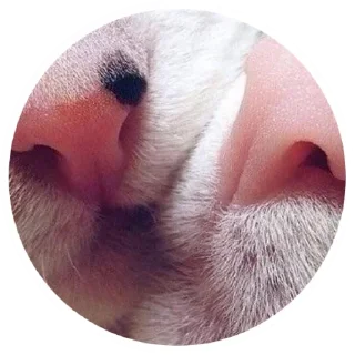 💑