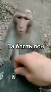 🤬
