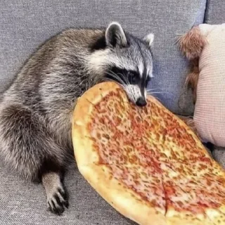 🍕