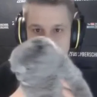 🐈‍⬛