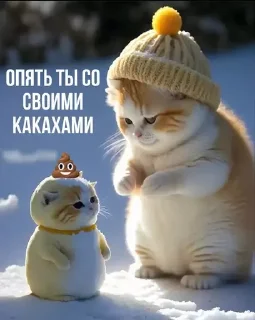 🙀
