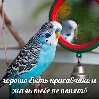 😜