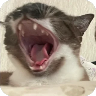🤯