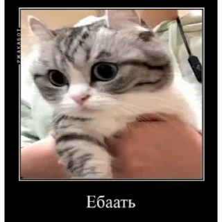 😨