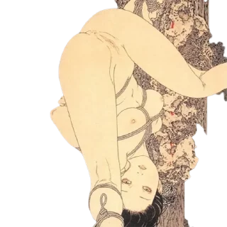 🍑