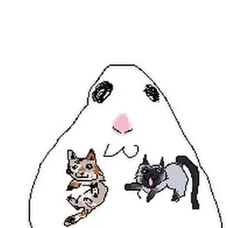 ⭐