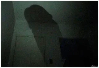 👤