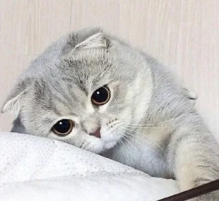 😔