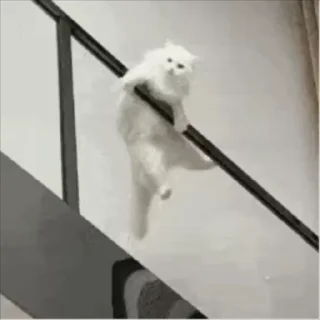 ❕