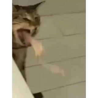 🤮