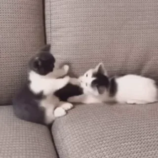 ❤️