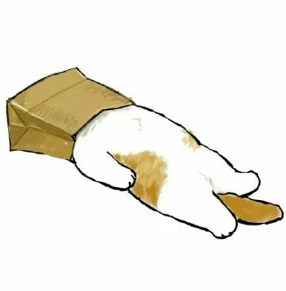 📦